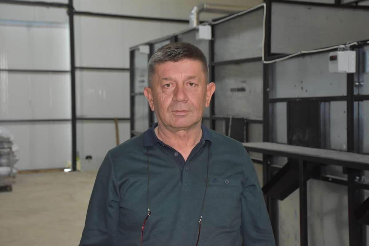 100 bin ağaçtan servet değerinde üretim! Konya ve Antep de sıraya giriyor 13